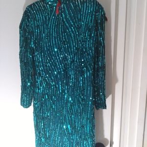 Cache  sequin  dress